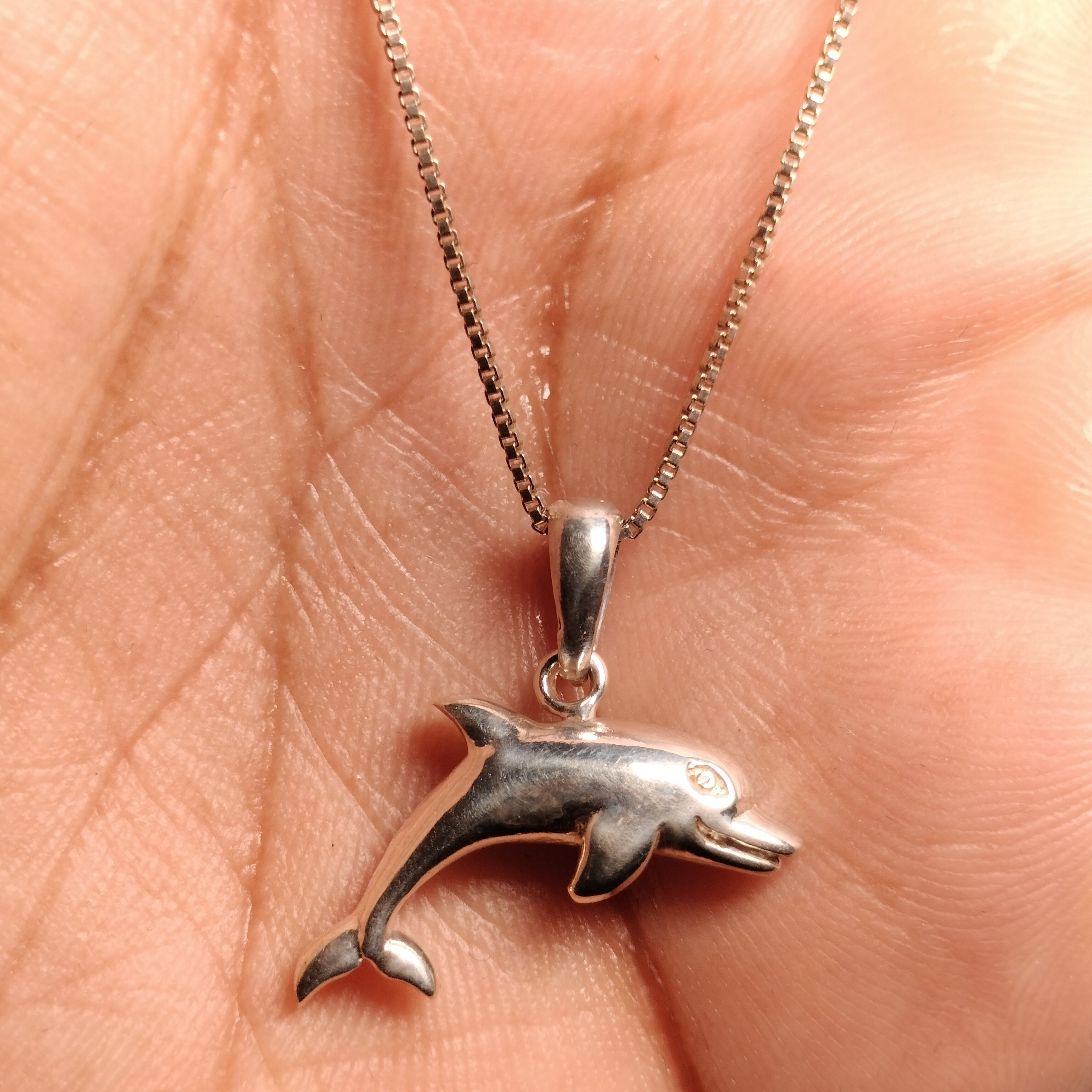 Sterling Silver Dolphin Pendant and Chain