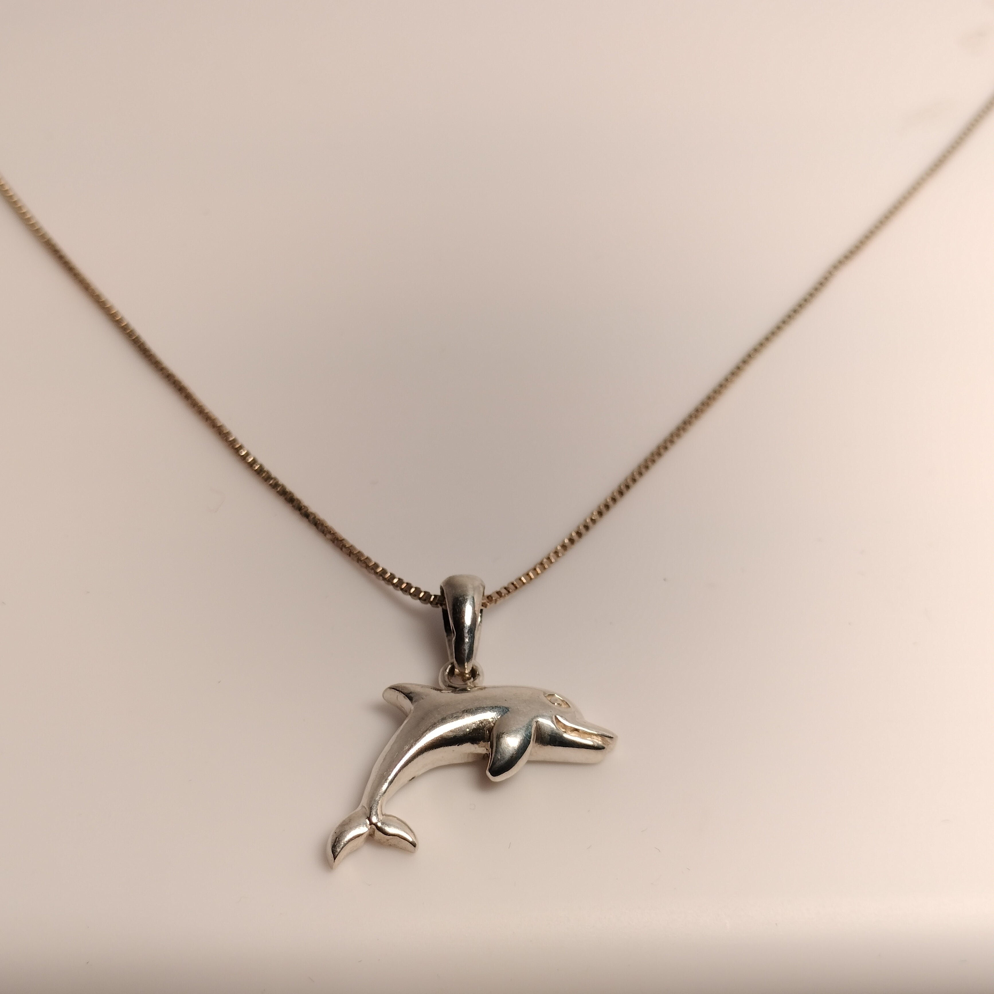 Sterling Silver Dolphin Pendant and Chain