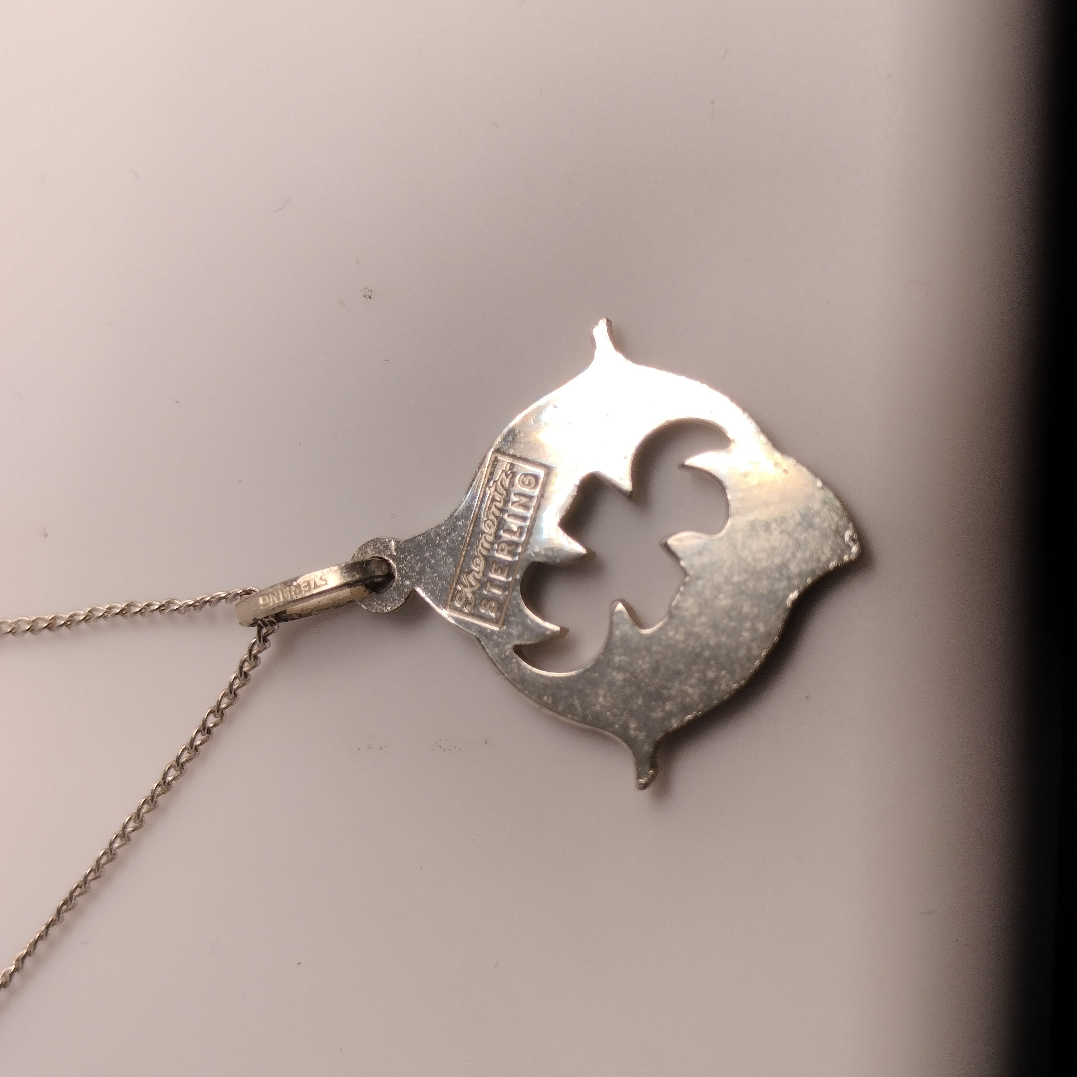Sterling Silver Fish Pendant and Chain