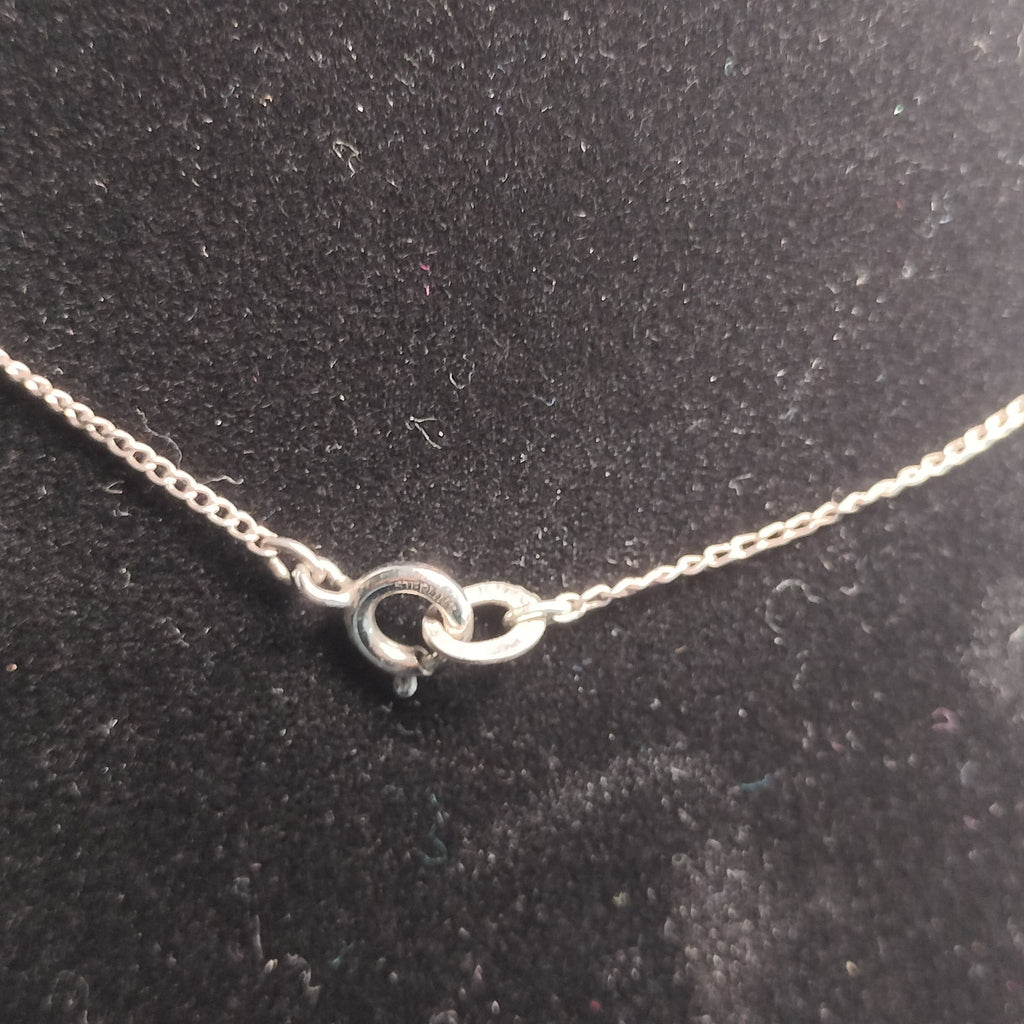 Sterling Silver Fish Pendant and Chain