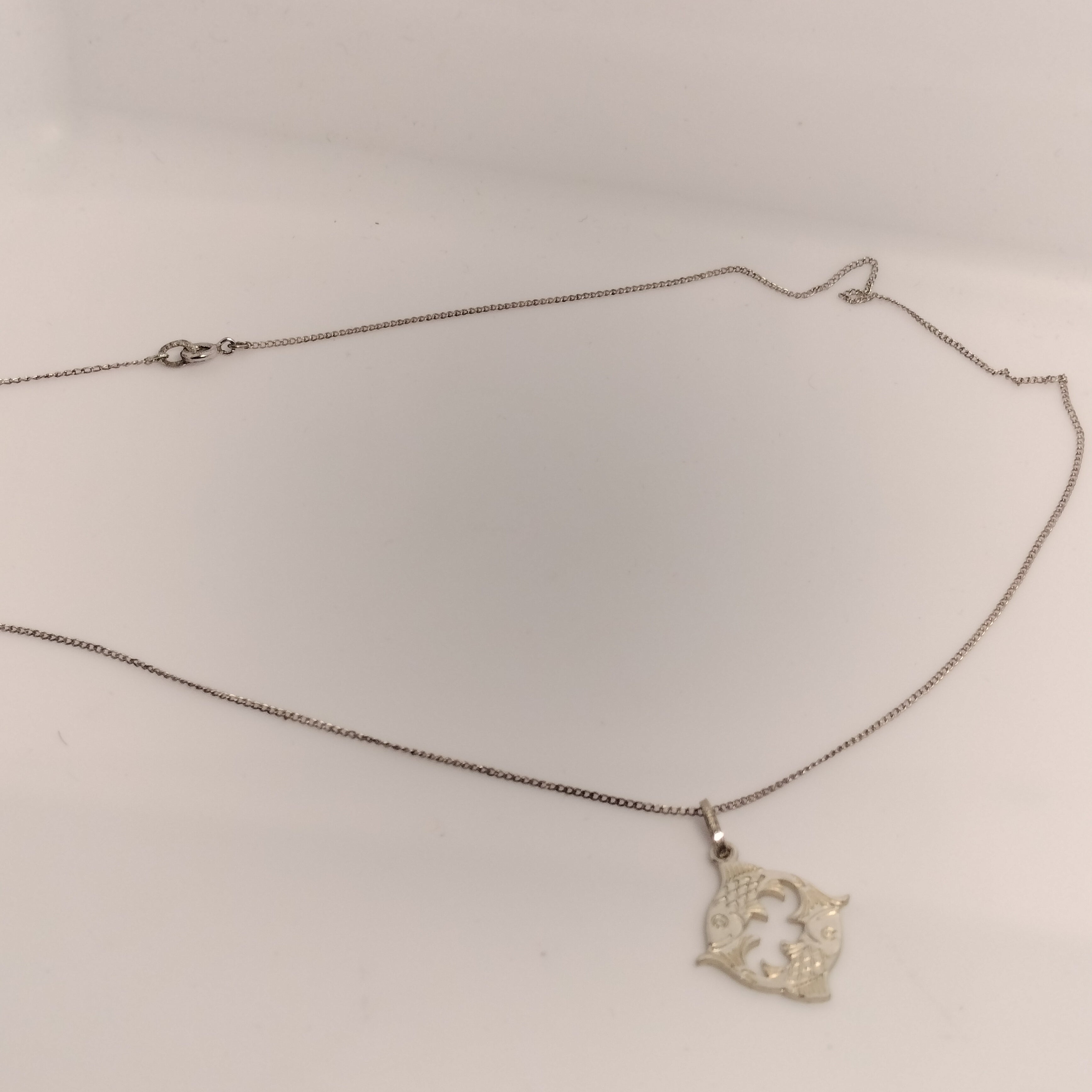 Sterling Silver Fish Pendant and Chain